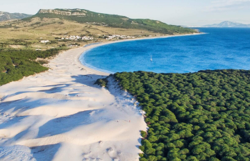 THE BEST BEACHES IN CÁDIZ