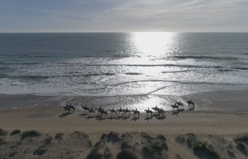 Enjoy the summer in Cádiz with multiaventures and unique experiences