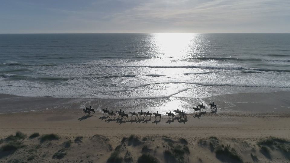 Enjoy the summer in Cádiz with multiaventures and unique experiences